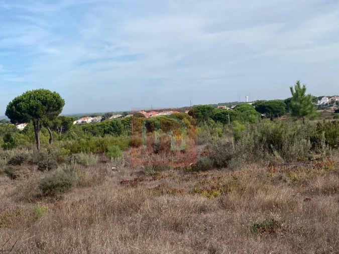 Terreno para Venda em Sesimbra (Castelo) Foto 11