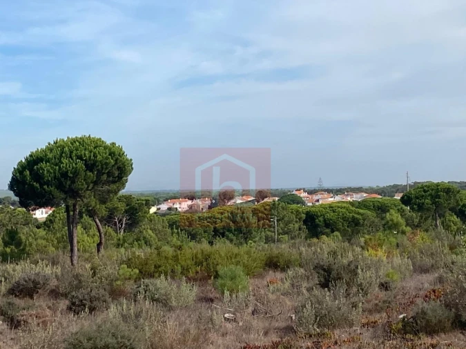 Terreno para Venda em Sesimbra (Castelo) Foto 14