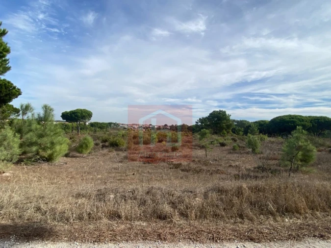 Terreno para Venda em Sesimbra (Castelo) Foto 16