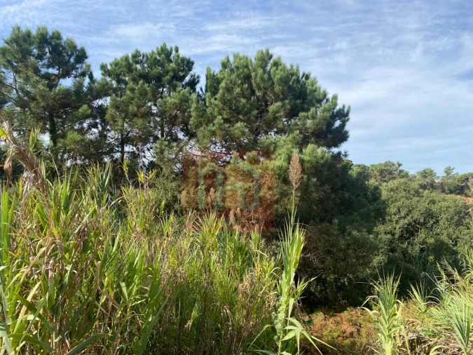 Terreno para Venda em Sesimbra (Castelo) Foto 23