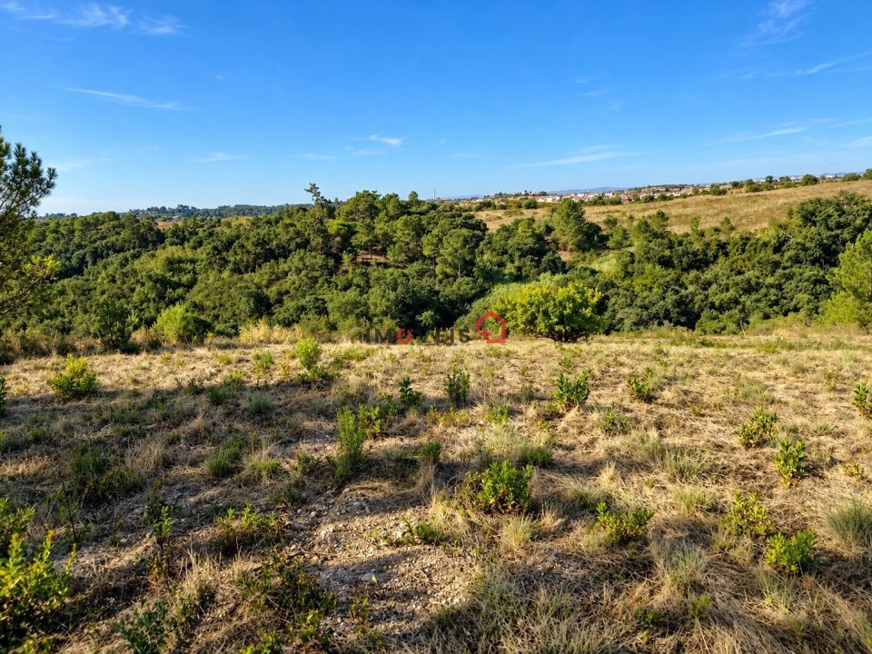 Terreno para Venda em Aveiras de Baixo Foto 3