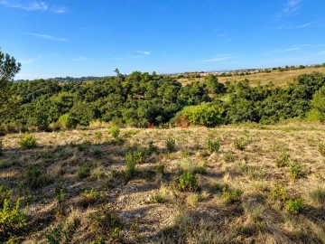 Terreno para Venda em Aveiras de Baixo