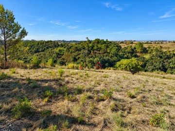 Terreno para Venda em Aveiras de Baixo