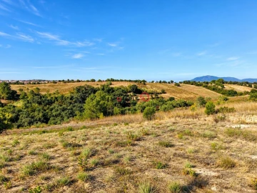 Terreno para Venda em Aveiras de Baixo