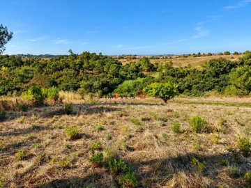 Terreno para Venda em Aveiras de Baixo