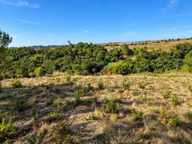 Terreno para Venda em Aveiras de Baixo Foto 3