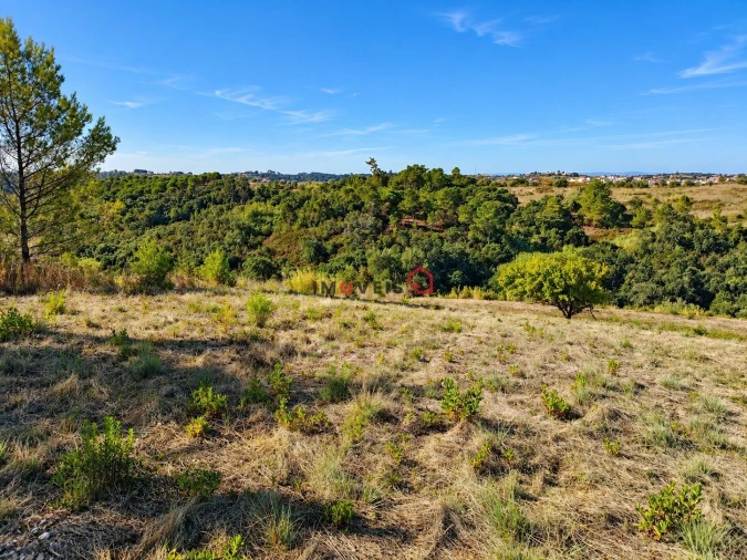 Terreno para Venda em Aveiras de Baixo Foto 2