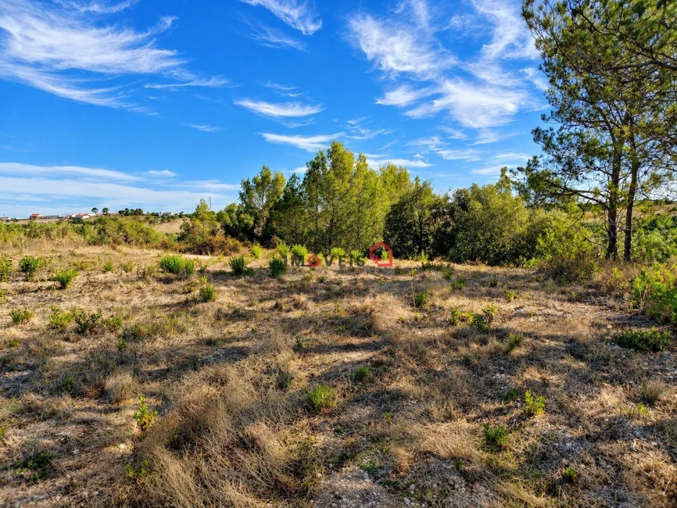 Terreno para Venda em Aveiras de Baixo Foto 1