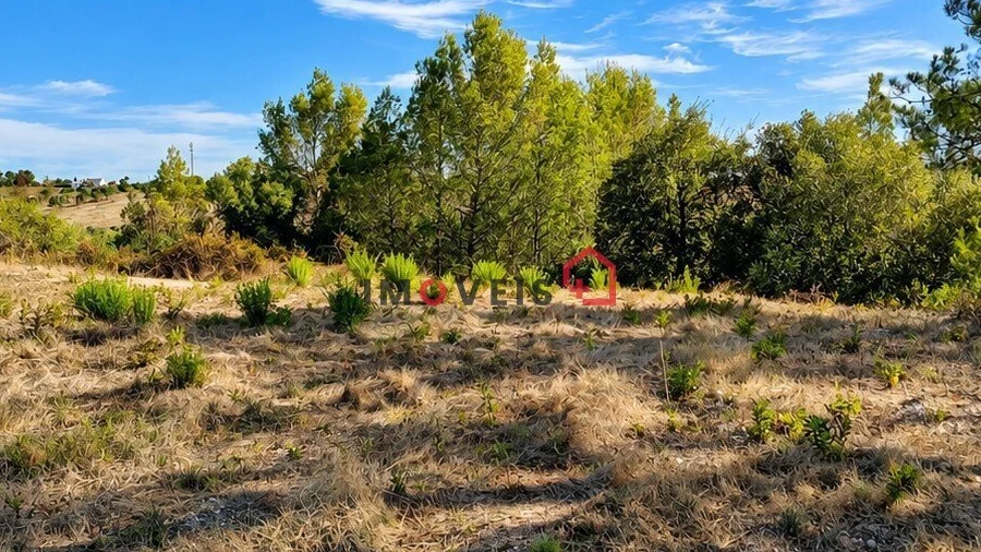 Terreno para Venda em Aveiras de Baixo