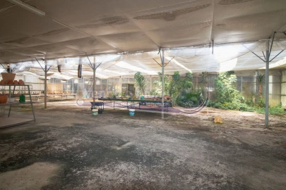 Terreno para Venda em Santo Estêvão