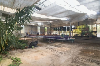 Terreno para Venda em Santo Estêvão