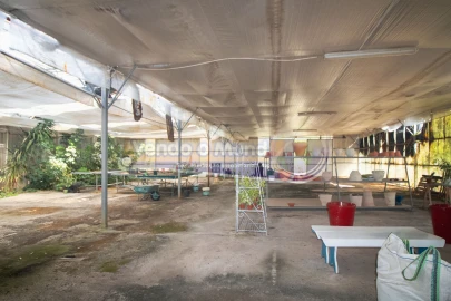Terreno para Venda em Santo Estêvão
