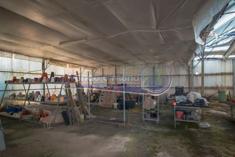 Terreno para Venda em Santo Estêvão Foto 7