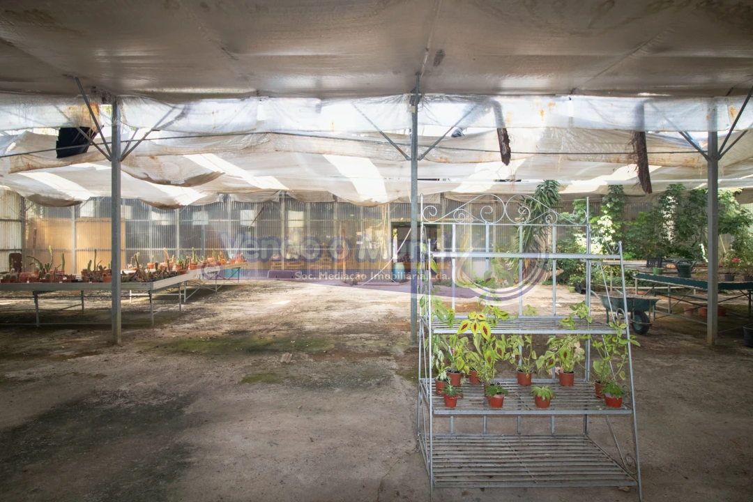 Terreno para Venda em Santo Estêvão Foto 16