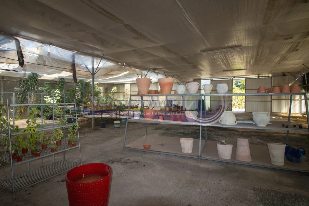 Terreno para Venda em Santo Estêvão Foto 3