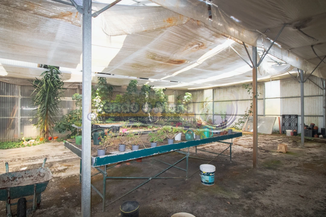 Terreno para Venda em Santo Estêvão Foto 17