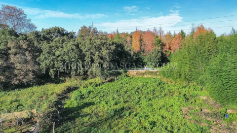 Moradia T4 para Venda em Santa Maria de Lamas