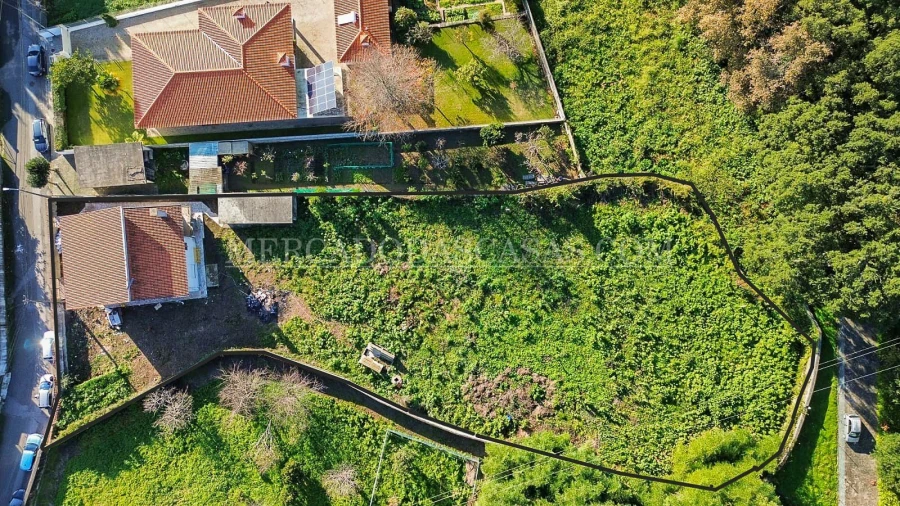 Moradia T4 para Venda em Santa Maria de Lamas Foto 6