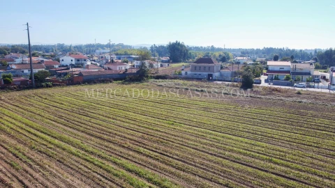 Terreno para Venda em São Miguel do Souto e Mosteirô