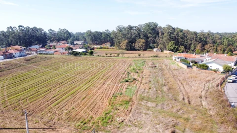 Terreno para Venda em São Miguel do Souto e Mosteirô