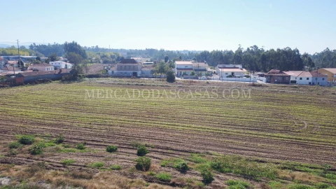 Terreno para Venda em São Miguel do Souto e Mosteirô