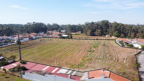 Terreno para Venda em São Miguel do Souto e Mosteirô