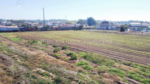 Terreno para Venda em São Miguel do Souto e Mosteirô