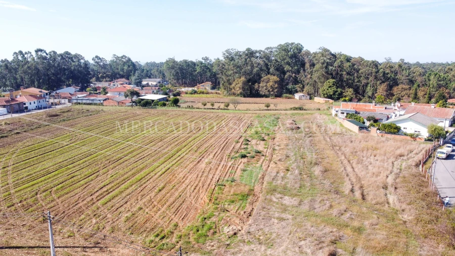 Terreno para Venda em São Miguel do Souto e Mosteirô Foto 9