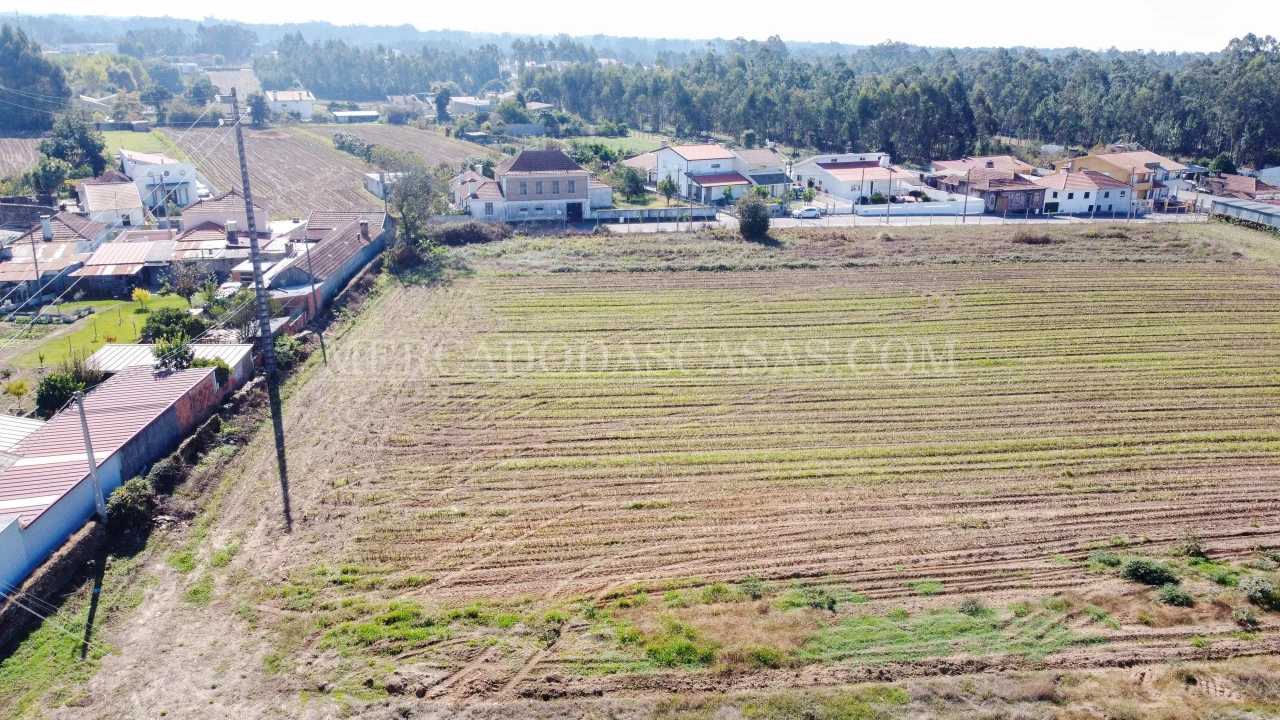 Terreno para Venda em São Miguel do Souto e Mosteirô Foto 10