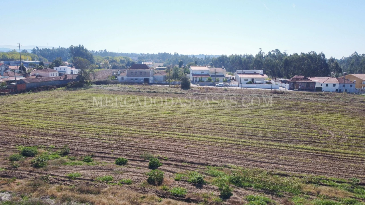 Terreno para Venda em São Miguel do Souto e Mosteirô Foto 12