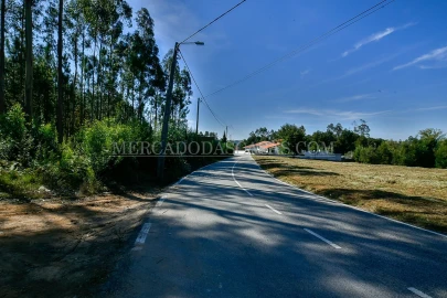 Terreno para Venda em São Miguel do Souto e Mosteirô