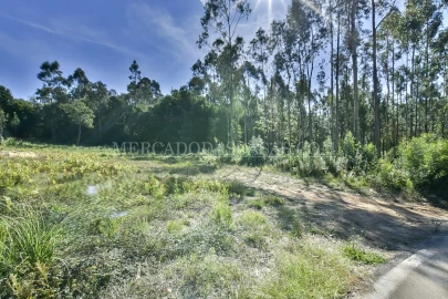 Terreno para Venda em São Miguel do Souto e Mosteirô