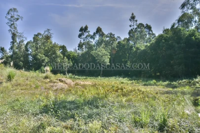 Terreno para Venda em São Miguel do Souto e Mosteirô