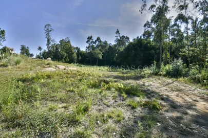 Terreno para Venda em São Miguel do Souto e Mosteirô