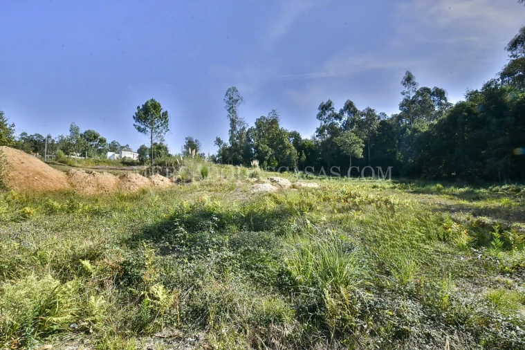 Terreno para Venda em São Miguel do Souto e Mosteirô Foto 7