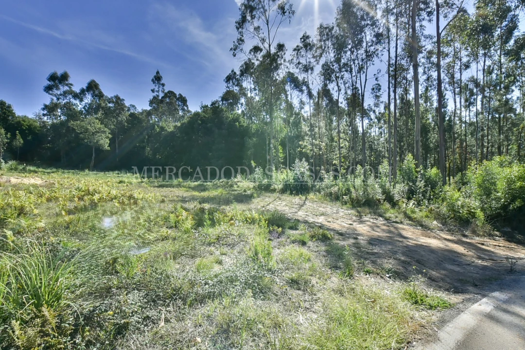 Terreno para Venda em São Miguel do Souto e Mosteirô Foto 6
