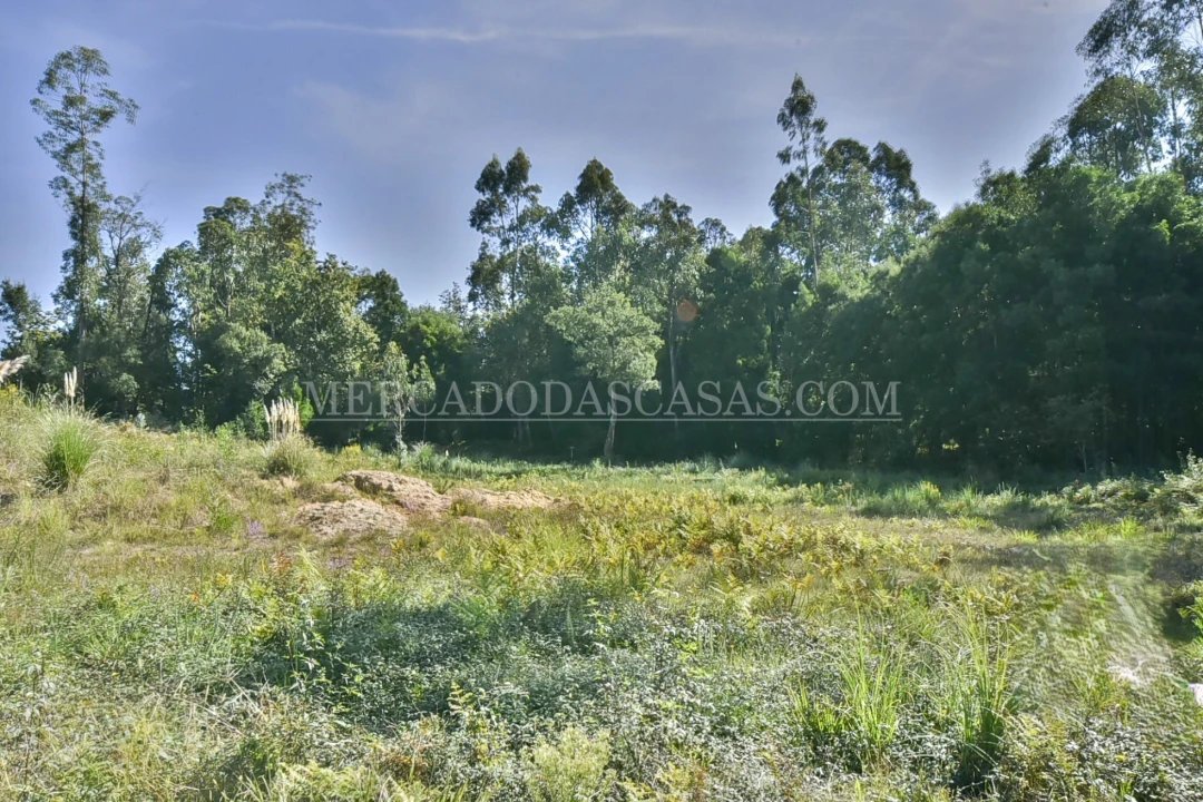 Terreno para Venda em São Miguel do Souto e Mosteirô Foto 4