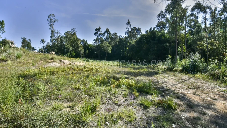 Terreno para Venda em São Miguel do Souto e Mosteirô