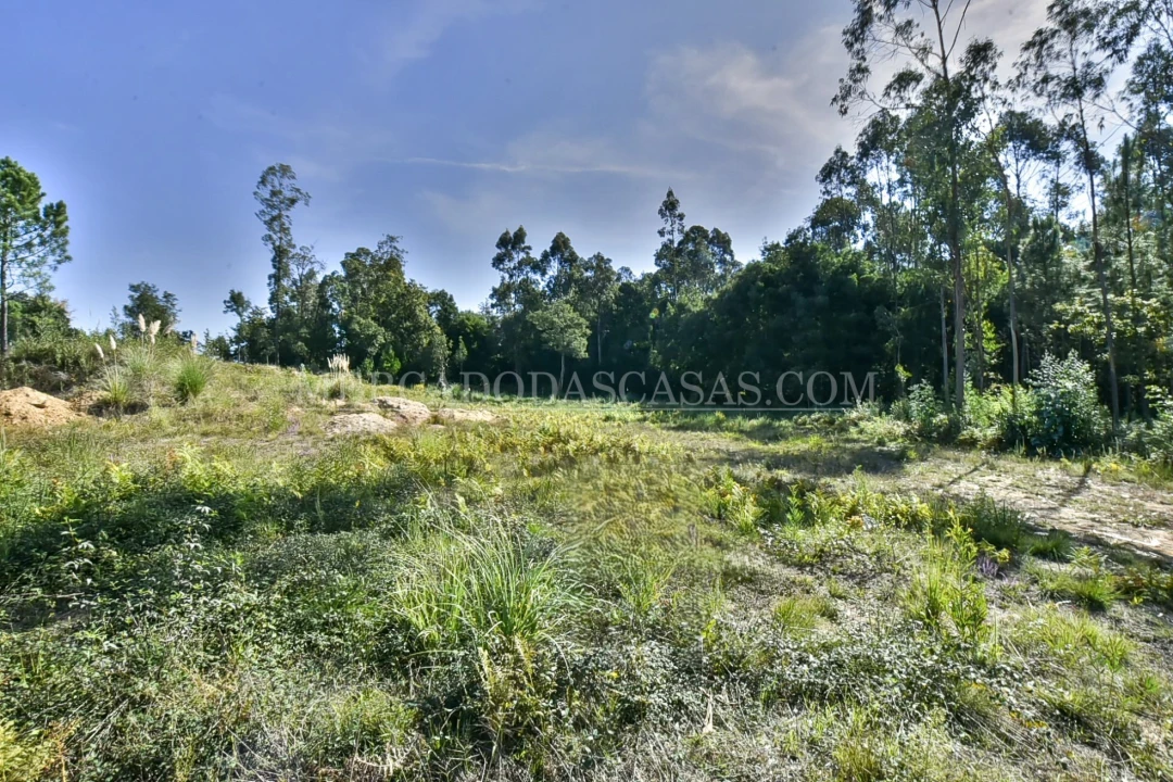 Terreno para Venda em São Miguel do Souto e Mosteirô Foto 5