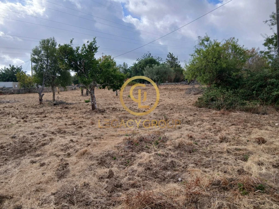 Terreno para Venda em São Brás de Alportel Foto 12