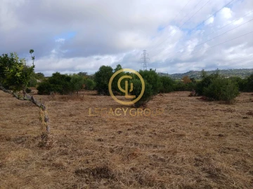 Terreno para Venda em São Brás de Alportel