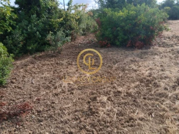 Terreno para Venda em São Brás de Alportel