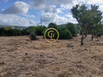 Terreno para Venda em São Brás de Alportel