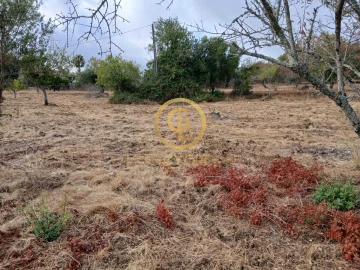 Terreno para Venda em São Brás de Alportel