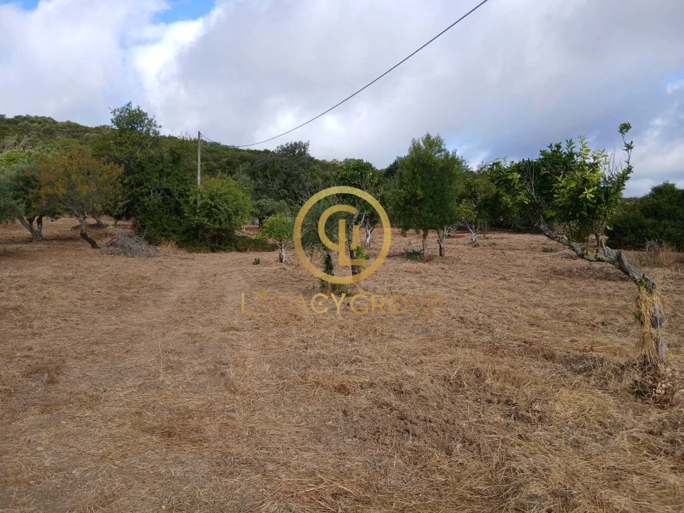 Terreno para Venda em São Brás de Alportel Foto 1