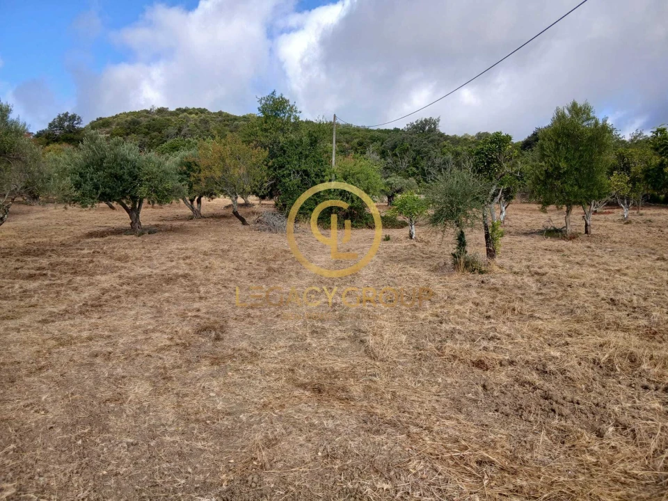 Terreno para Venda em São Brás de Alportel Foto 2