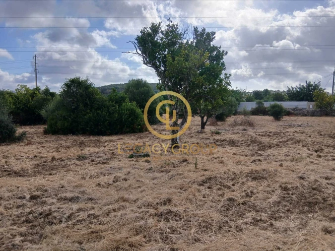 Terreno para Venda em São Brás de Alportel Foto 14