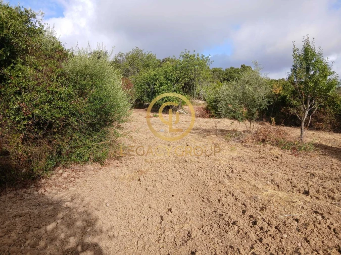 Terreno para Venda em São Brás de Alportel Foto 13