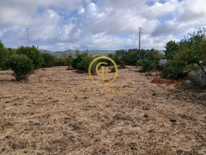 Terreno para Venda em São Brás de Alportel Foto 4