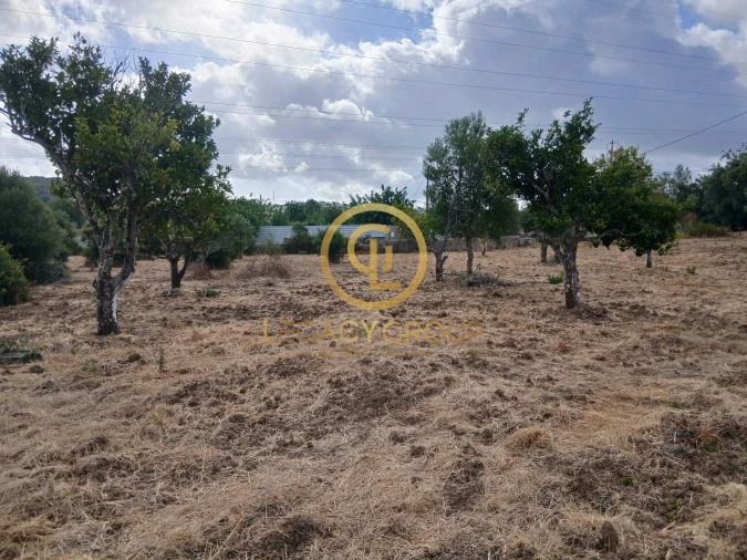 Terreno para Venda em São Brás de Alportel Foto 20